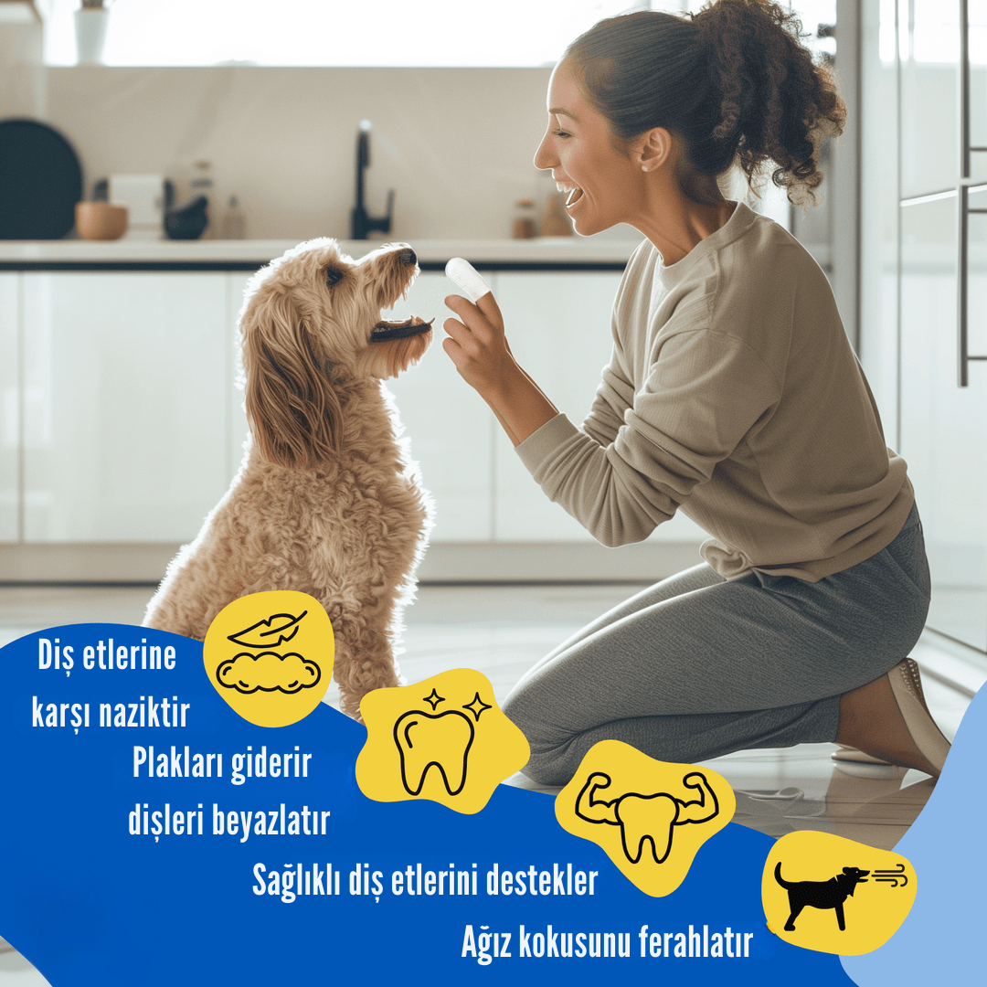 Diş Temizleme Mendili