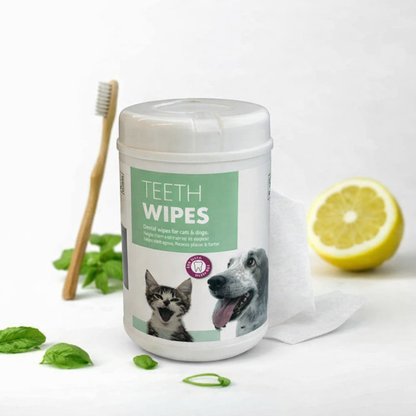 Diş Temizleme Mendili